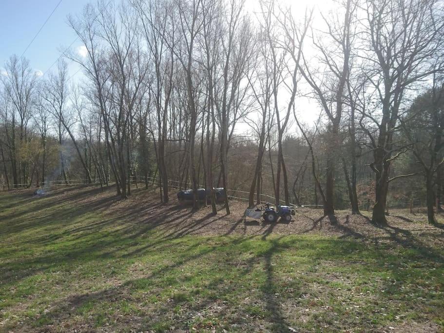 Location Meublee Au Milieu D'Un Ecrin De Verdure Aux Vieux Fours Noaillac Екстериор снимка