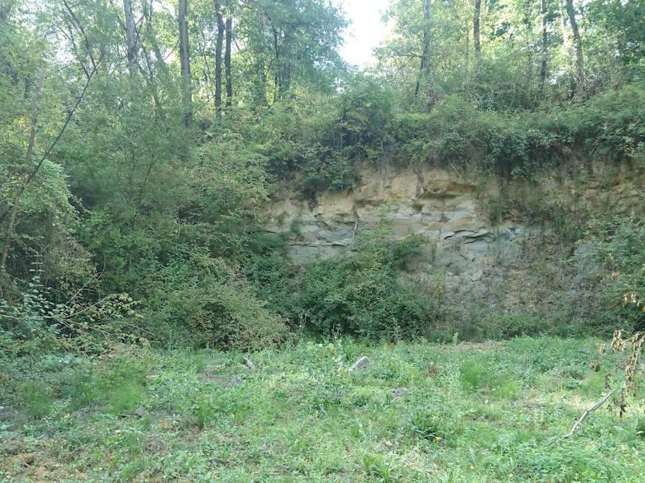 Location Meublee Au Milieu D'Un Ecrin De Verdure Aux Vieux Fours Noaillac Екстериор снимка